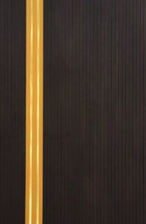 وش باب — ميلامين استانليس 5010